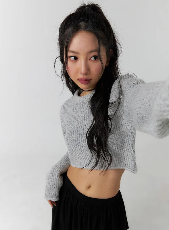 Knit Long Sleeve Crop Top CF405